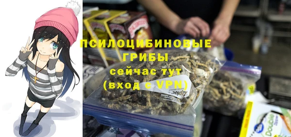 прущий лед Аркадак