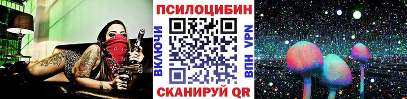 закладка  Лахденпохья  Галлюциногенные грибы ЛСД 
